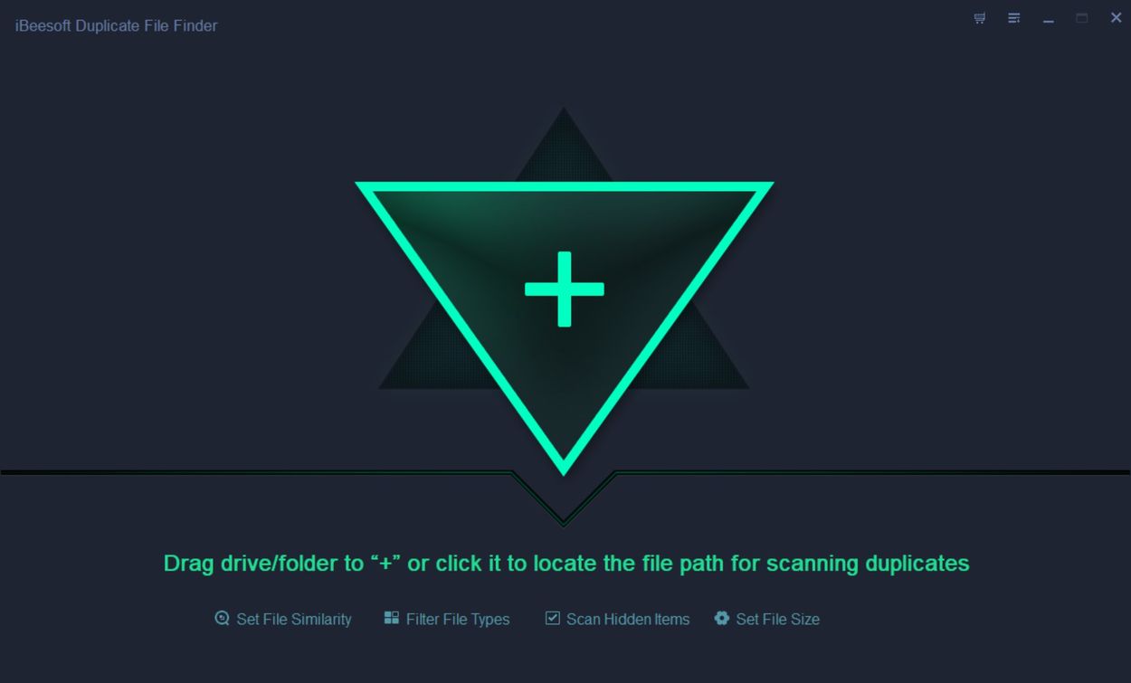 iBeesoft Duplicate File Finder + crack